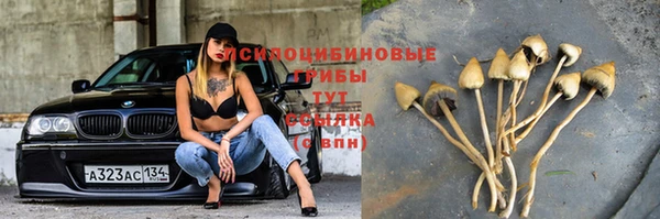 гидропоника Арсеньев