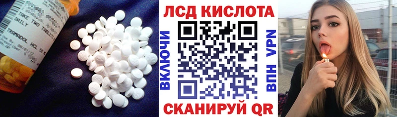 LSD-25 экстази кислота  Новая Ладога 