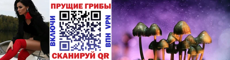 Псилоцибиновые грибы ЛСД Новая Ладога