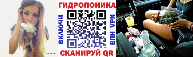 Шишки марихуана Ganja  маркетплейс официальный сайт  Новая Ладога 